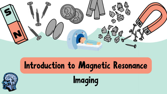 Introduction to MRI ( Magnetic Resonance Imaging ) Basics