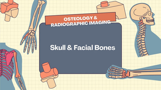 Skull & Facial Bones : Radiographic Technique