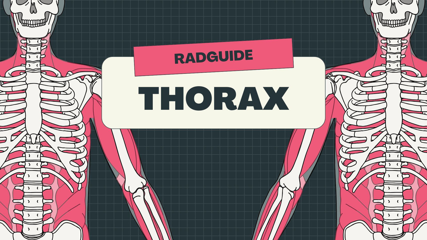 Thorax : Radiographic Technique