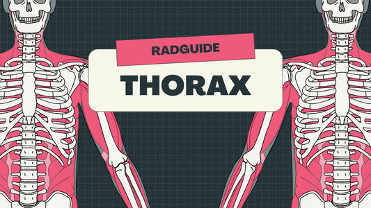 Thorax : Radiographic Technique