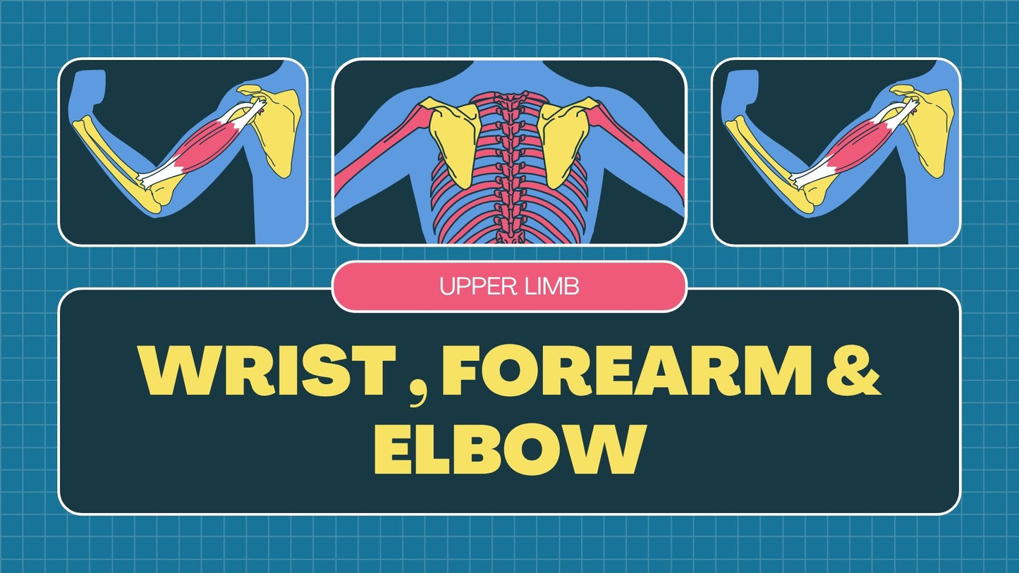 Forearm & Elbow : Radiographic Technique