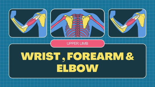 The Wrist : Radiographic Technique