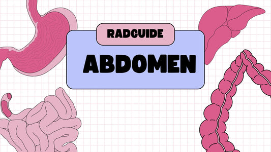 The Abdomen : Osteology & Radiographic Technique